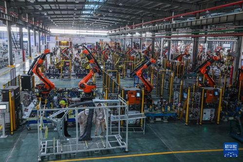 浙江金华 以技术为引擎，加速打造新能源汽车配套产业集群新高地